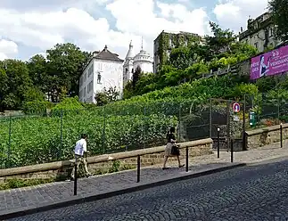 … et la vigne de Montmartre.