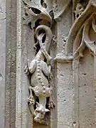 Bestiaire : salamandre.