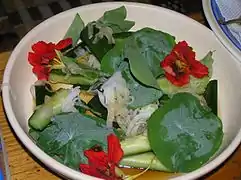Salade de fleur et de feuille de grande capucine
