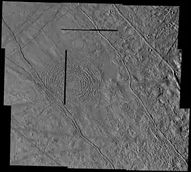 Vers le centre de l'image, on observe quelques cercles à la surface.