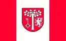 Drapeau de Gmina Jodłownik