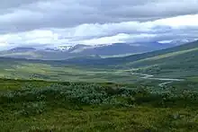 Pentes douces de la vallée de Låddejåkkå avec Sarek en arrière plan