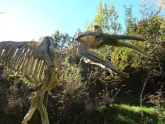 Archaeobelodon&nbsp;(en) installé au pied de la ferme du Campané.
