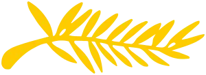 la Palme d'Or