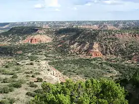 Canyon de Palo Duro.