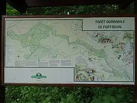 Image illustrative de l’article Forêt de Port-Royal