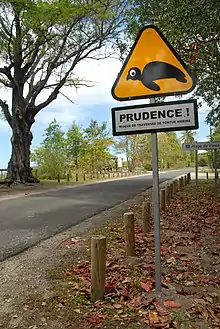 Panneau triangulaire représentant une tortue stylisée sur fond orange.