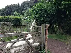 Image illustrative de l’article Parc Fond'Roy