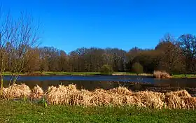 Quartier Maurepas - Patton