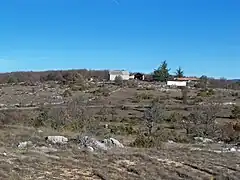 Faciès karstique avec lapiaz au Revest.