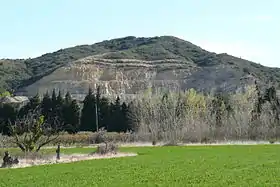 Image illustrative de l’article Pays d'Arles