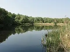 Le terril no&nbsp;143.