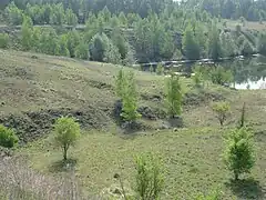 Le terril no&nbsp;143.