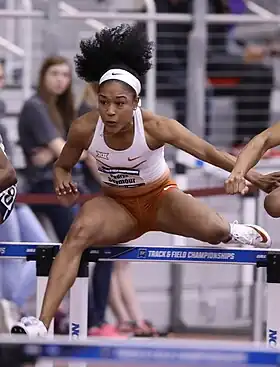 Image illustrative de l’article Pedrya Seymour