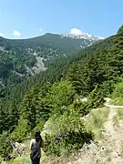 Le parc national du Pelister.