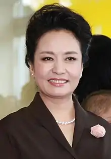 Image illustrative de l’article Peng Liyuan