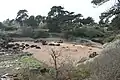 La plage de Pors Rolland à marée basse.