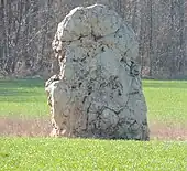 Menhir de la grande roche