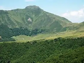 Photo de la face sud du Puy de Peire-Arse. Un tiers du bas de la photo est occupé par une forêt très dense. Au-delà et jusqu'au pied du Puy, une assez large bande de prairie s'étendant jusqu'au creux d'un renfoncement profond (juste avant la base du puy tel que photographié ici), où l'on voit un bâtiment agricole. Tout en faut du renfoncement, vers la droite de la photo, une ferme et des vaches brunes paissant à droite et devant elle, ainsi qu'un peu plus loin à gauche en un groupe plus compact. Sur face sud du Puy verdoyante, quelques arbres puis quelques maigres herbes et juste avant son sommet (à nouveau vert), une bande de rochers gris. De part et d'autre du puy, à une altitude un peu moins élevée, de hautes terres se découpent comme lui sous le ciel bleu. De ce sommet, une longue ligne de crête descend vers la droite séparant à sa droite un versant abrupt jusqu'au creux du renfoncement dont on a parlé et à sa gauche un versant moins important rejoignant les plis montagneux des plus hauts contreforts.