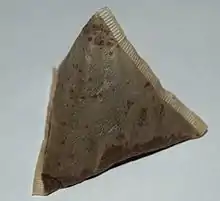 Un sachet de thé usagé et pyramidal.