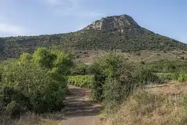 Un chemin, des vignes et le Pic de Vissou (480 m) à Cabrières.