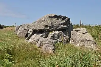 L'allée couverte (les Pierres Pouquelées).