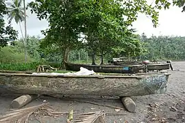 Parfois dotés d'un moteur.