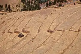 Terrasses incaïques de Písac, détail du dessin des terrasses épousant les courbes de niveau et les variations de la pente.