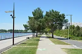 Piste cyclable longeant l'esplanade et plantations autour