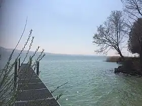 Image illustrative de l’article Grandson–Corcelettes Les Violes