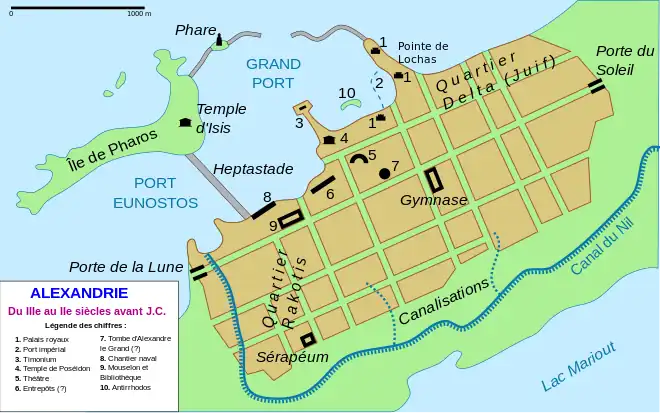 Plan d'Alexandrie à l'époque hellénistique.