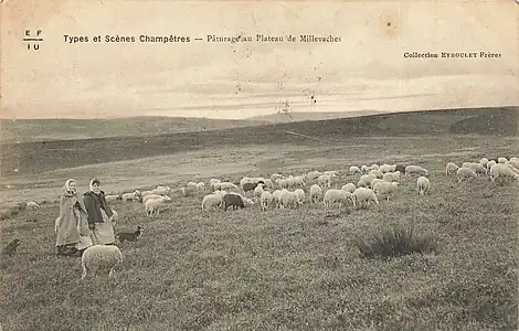 Carte postale du plateau de Millevaches au début du XXe&nbsp;siècle, couvert de landes et végétation rase.