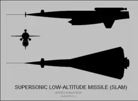 Supersonic Low Altitude Missile