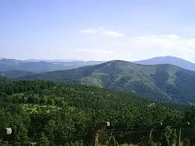 Image illustrative de l’article Goč (montagne)