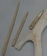 Poinçons du Musée d'art et d'histoire de Toul.