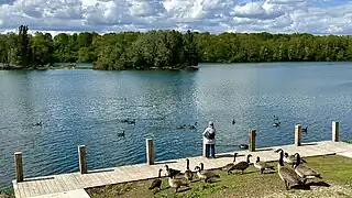 Point de vue sur île.