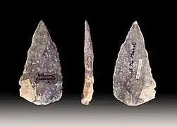 Pointe Levallois(Muséum de Toulouse).