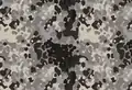Flecktarn wz AT 1 PLAMIAK urbain  polonais