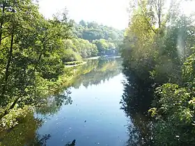 La Douffine en aval du Pont-Neuf.