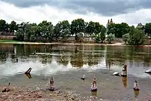 photo de pieux antiques alignés et dépassant de l'eau