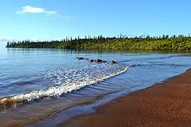 Port Boisé, Parc du grand lagon sud.