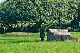 Poulailler de plein champ à Blaudeix.