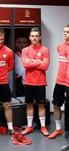 Image illustrative de l’article Damian Kądzior