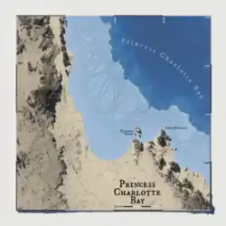 Carte topographique de la baie de la Princesse Charlotte.