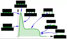 Apparition et croissance des cavités dans un matériau adhésif au cours d'un test de tack (force en fonction du déplacement). Apparition et croissance des cavités dans un matériau adhésif au cours d'un test de tack (force en fonction du déplacement)