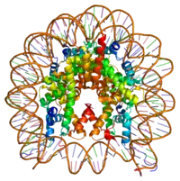 Image illustrative de l’article H2AZ