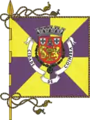Drapeau de Coimbra