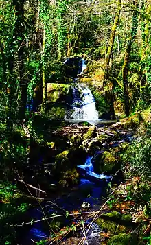 Le Puits d'Enfer - Exireuil - Deux-Sèvres