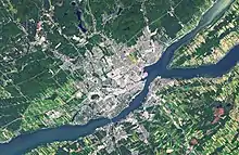 Les motifs urbains ne sont pas sans rappeler des colonies fongiques ou bactériennes. Québec (2016)