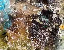 Image illustrative de l’article Quenstedtite